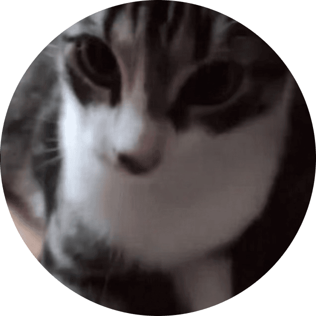 Close-up of a grey and white tabby cat with large dark eyes and pink nose.